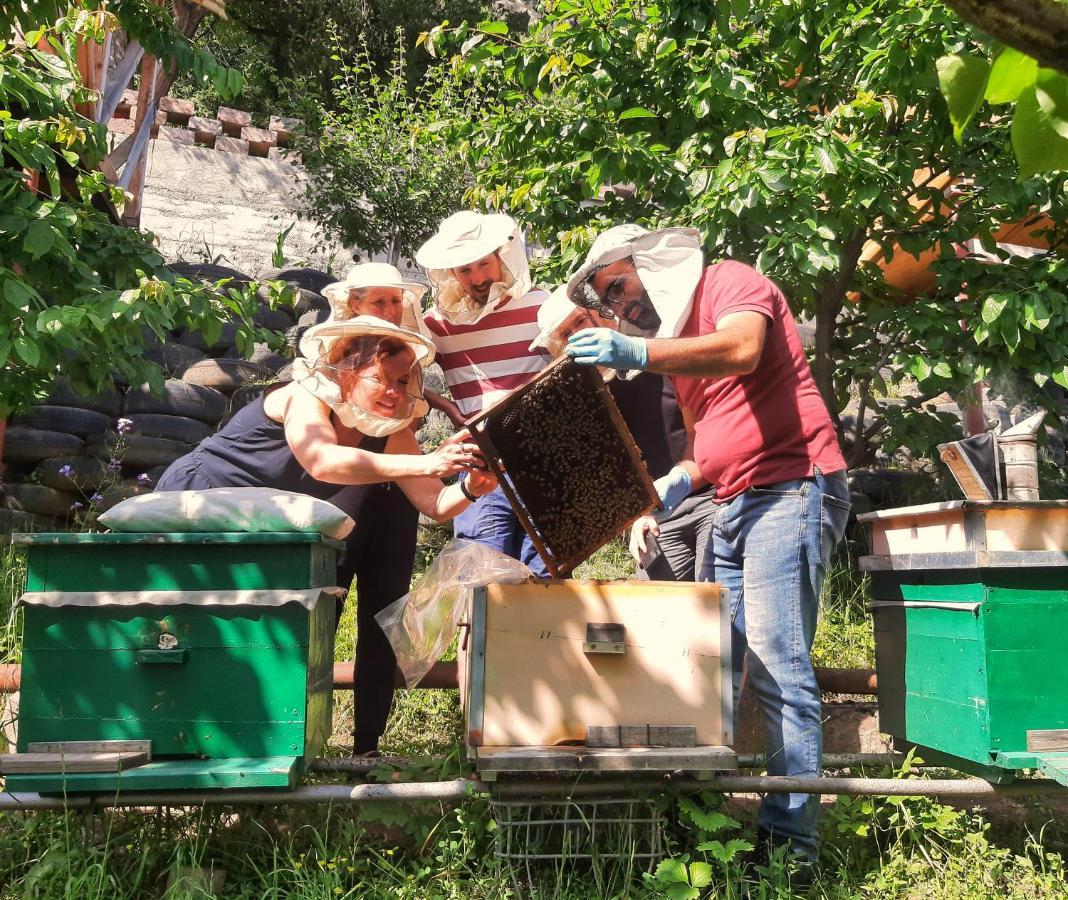 Armbee Honey Farm Villa Alaverdi Kültér fotó